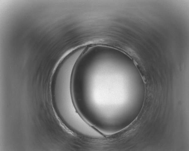 X0000062140792200512121240