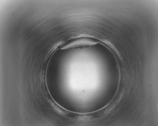 X0000062140793200512121240