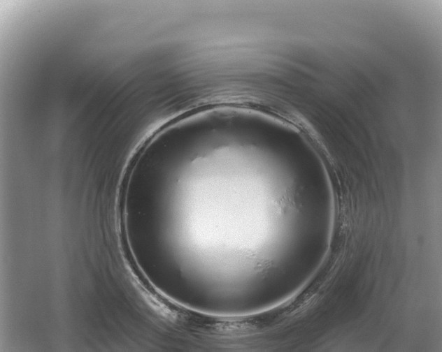 X0000062140795200512121240