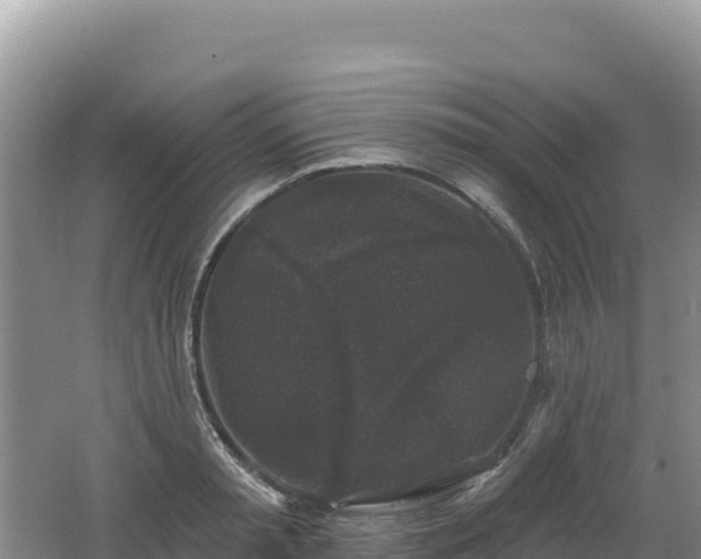 X0000062140797200512121240