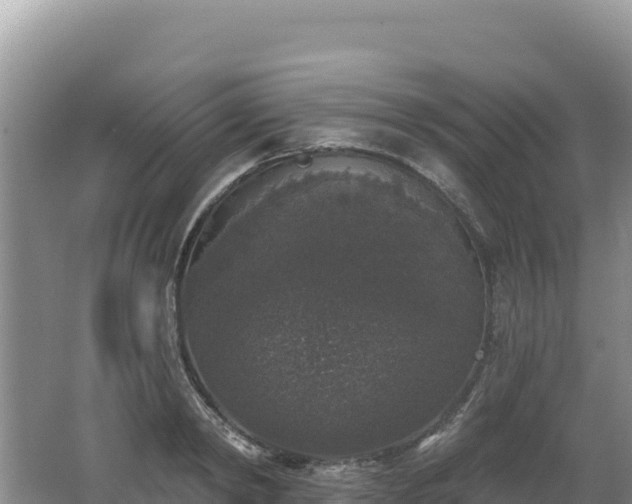 X0000062140798200512121240