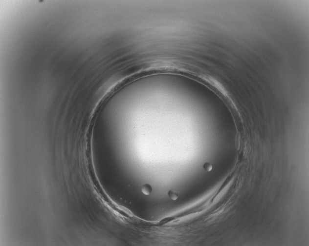 X0000062140799200512121240