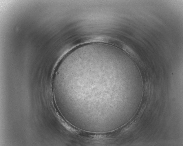 X0000062140800200512121240