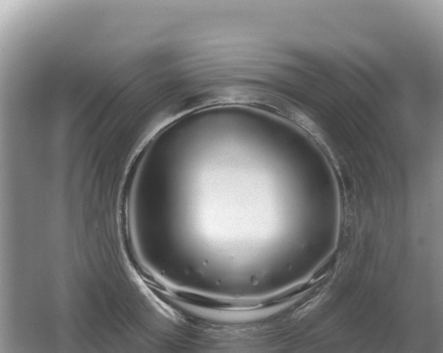 X0000062140803200512121240