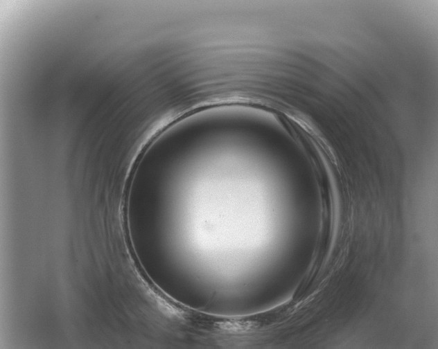 X0000062140805200512121240