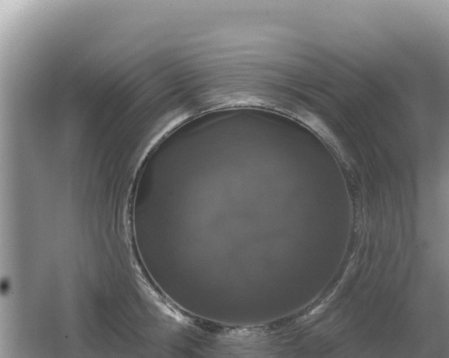 X0000062140806200512121240