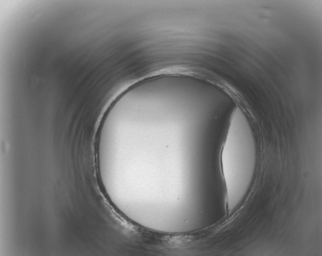 X0000062140808200512121240