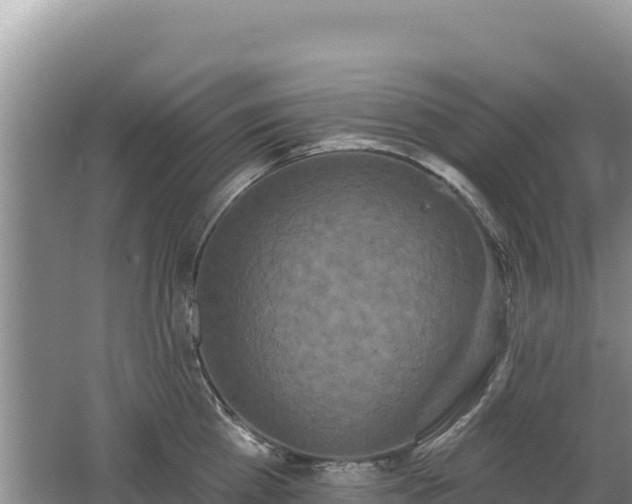 X0000062140809200512121240