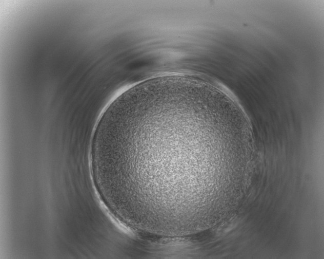 X0000062140811200512121240