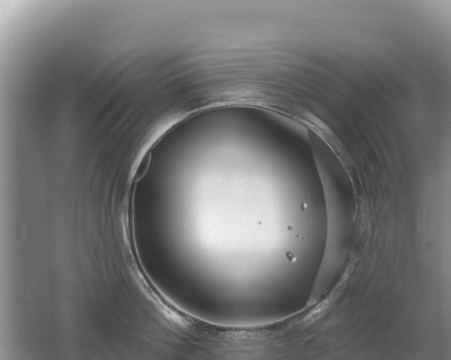 X0000062140812200512121240