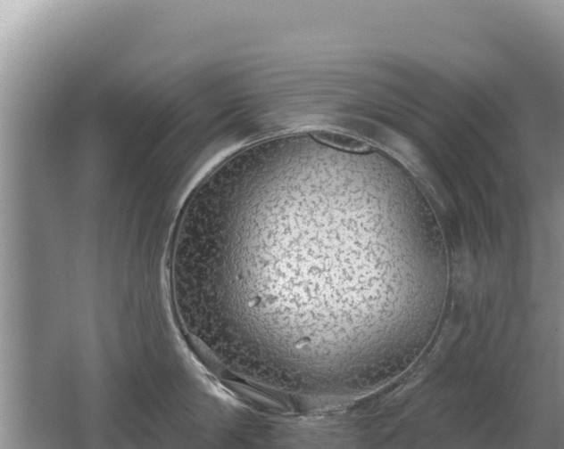 X0000062140814200512121240