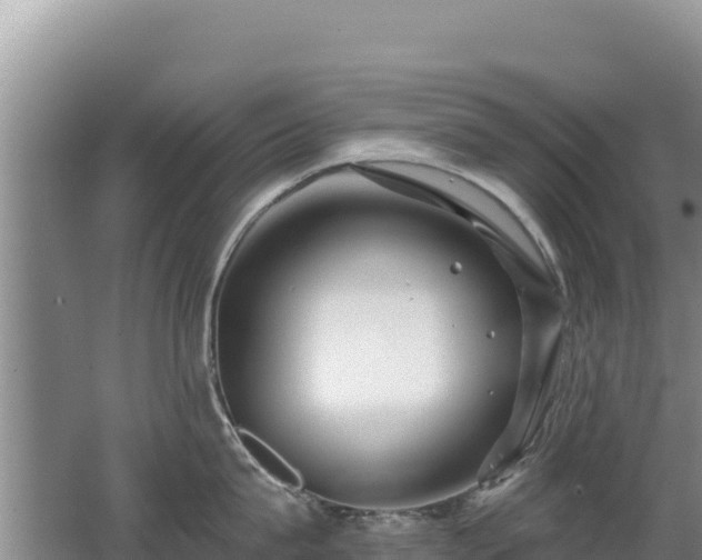 X0000062140815200512121240