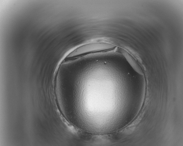 X0000062140816200512121240