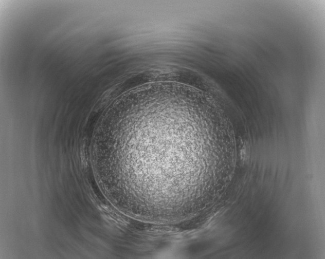 X0000062140819200512121239