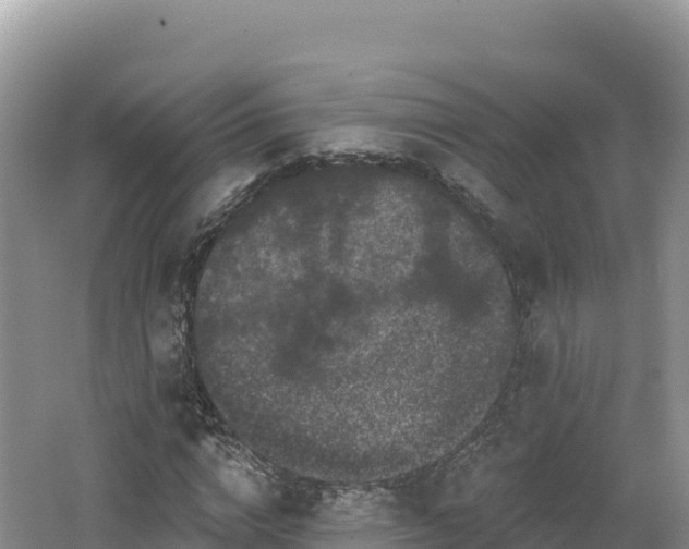 X0000062140824200512121239