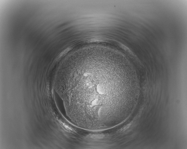 X0000062140825200512121239