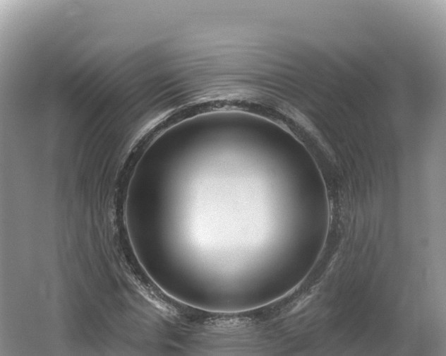 X0000062140826200512121239