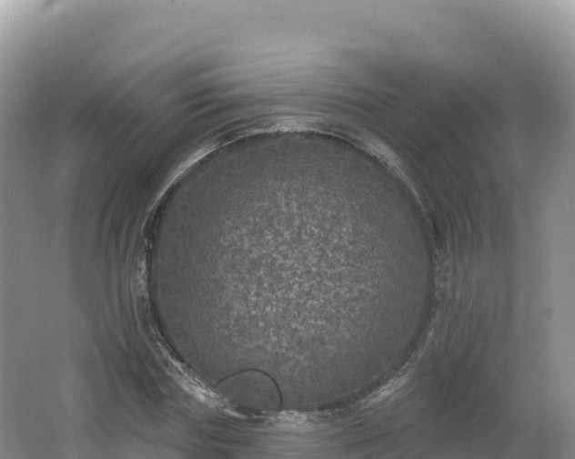 X0000062140827200512121239