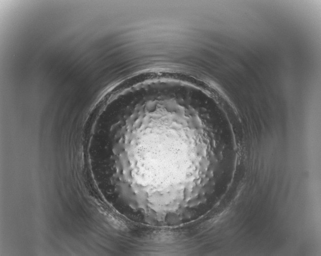 X0000062140829200512121239