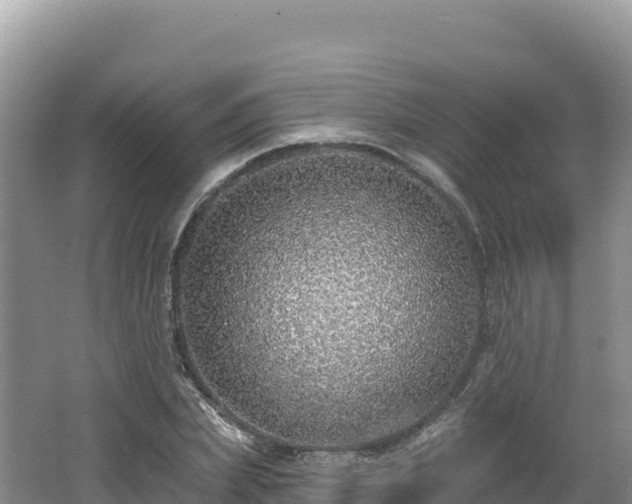 X0000062140831200512121239