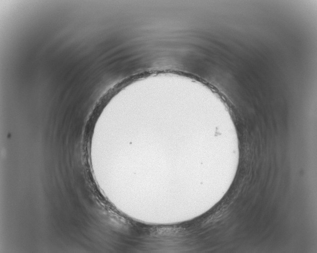 X0000062140832200512121239