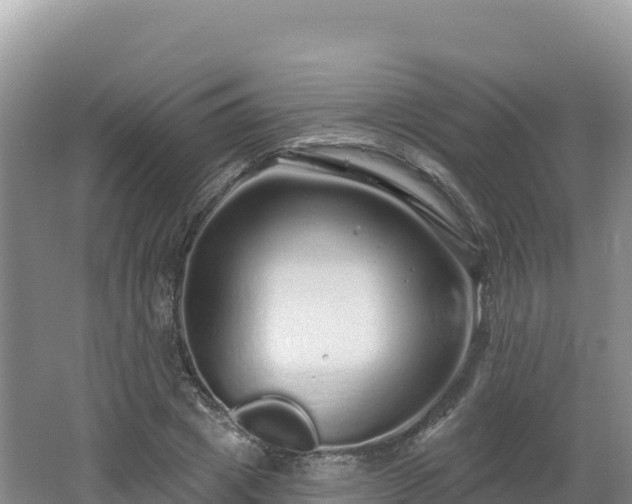 X0000062140833200512121239