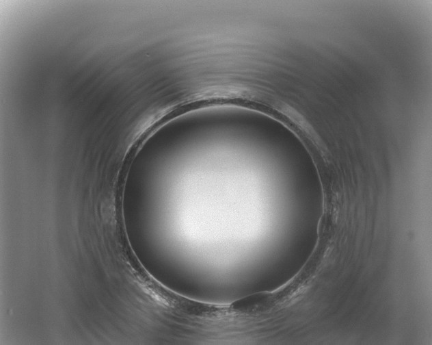 X0000062140834200512121239