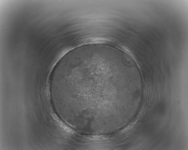 X0000062140835200512121239