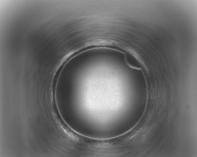 X0000062140837200512121239