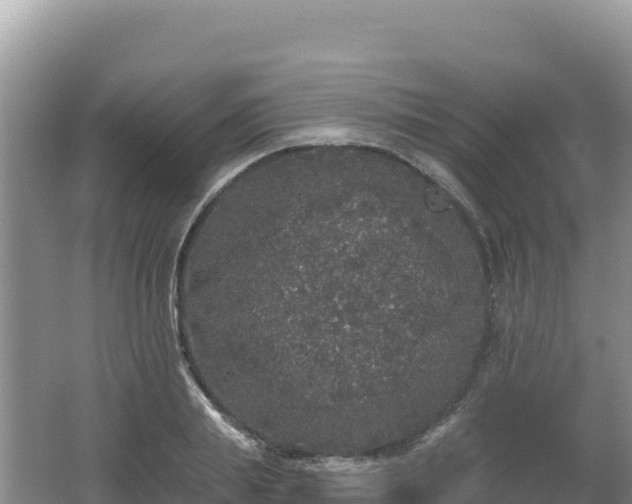 X0000062140839200512121239