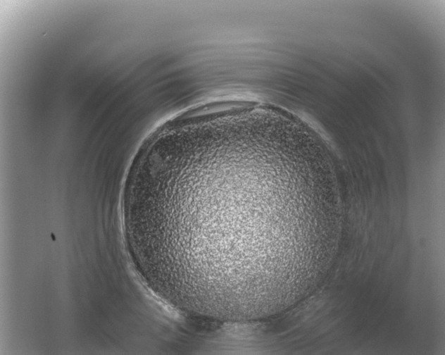 X0000062140840200512121239