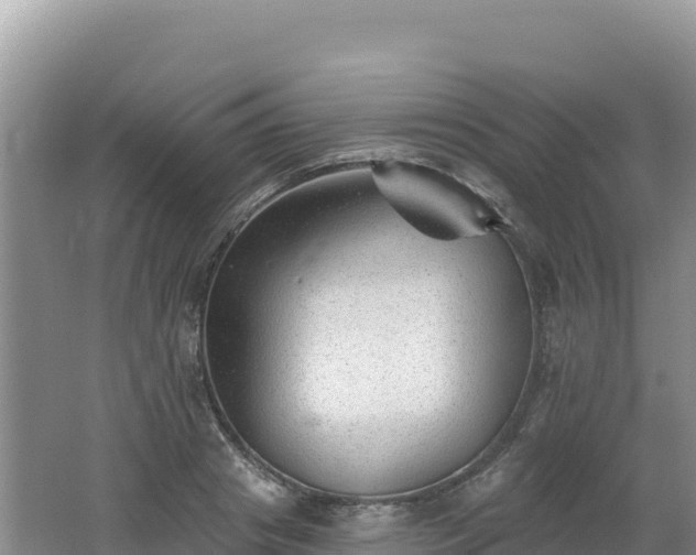 X0000062140841200512121239