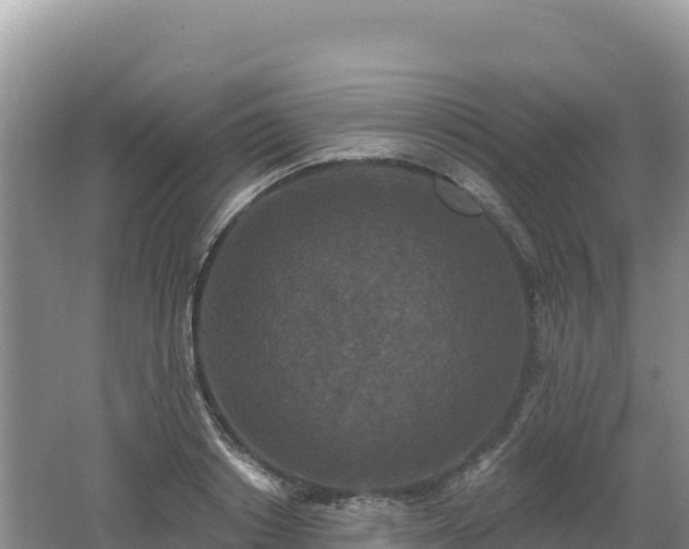 X0000062140842200512121239