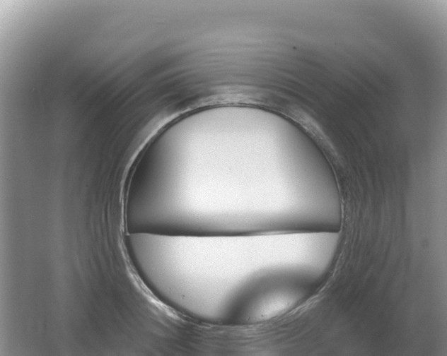 X0000062140844200512121239