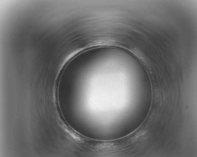 X0000062140846200512121239