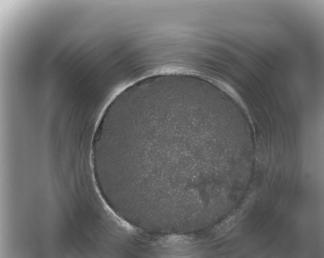 X0000062140847200512121239