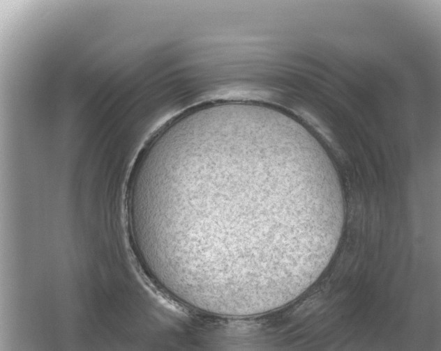 X0000062140848200512121239