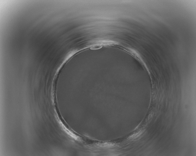 X0000062140851200512121239