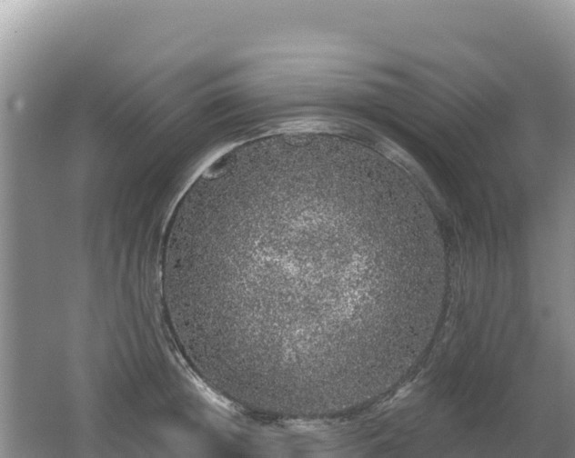 X0000062140852200512121239