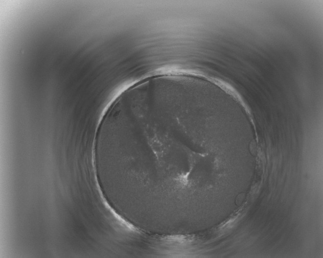 X0000062140855200512121240