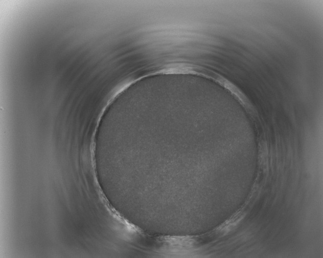 X0000062140856200512121240