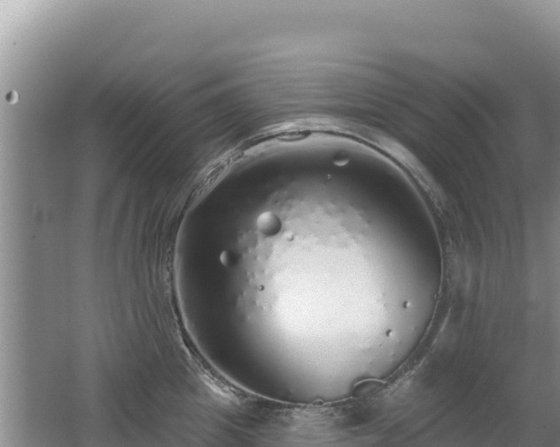 X0000062140857200512121240