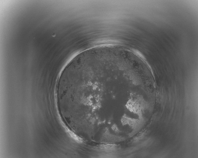 X0000062140859200512121240