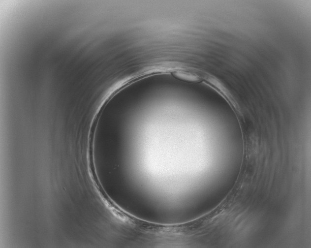 X0000062140861200512121240