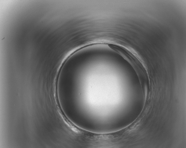 X0000062140862200512121240