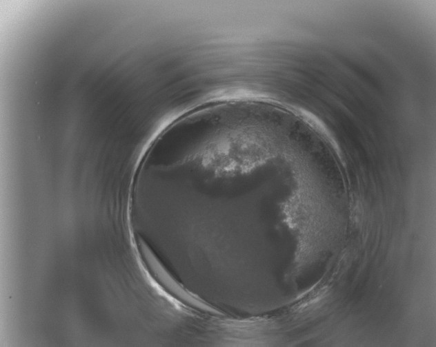 X0000062140863200512121240