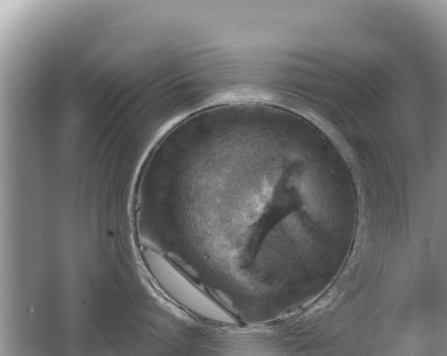 X0000062140864200512121240