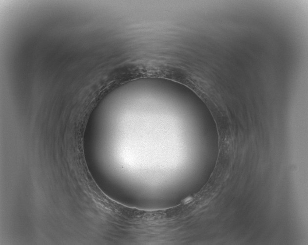 X0000062140865200512121239