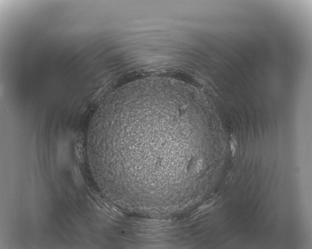 X0000062140867200512121239