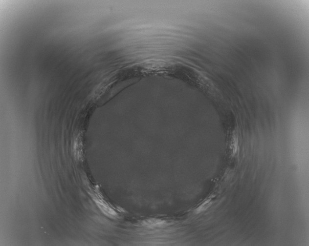 X0000062140868200512121239